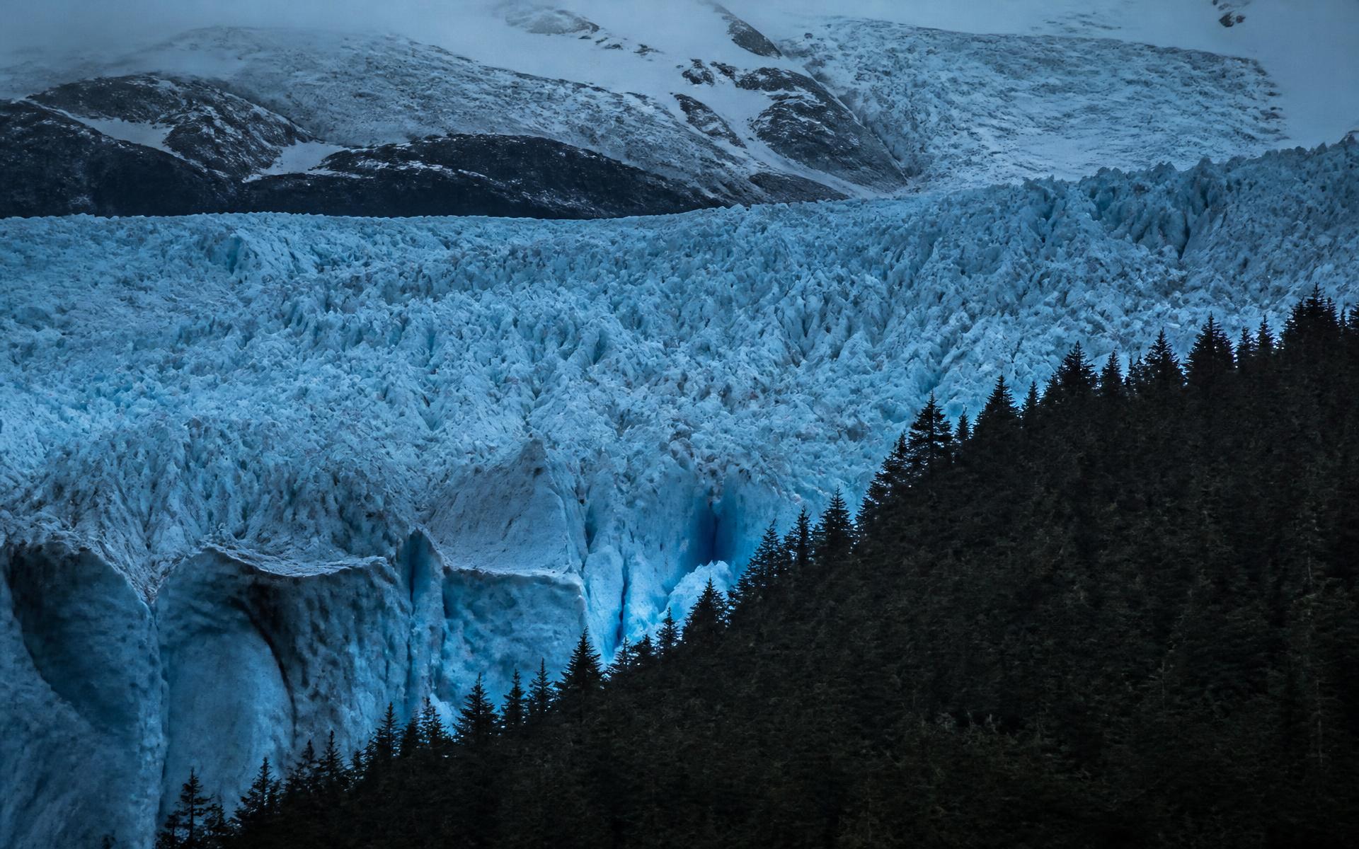 Blue glacier meeting a dark pine forest at dusk